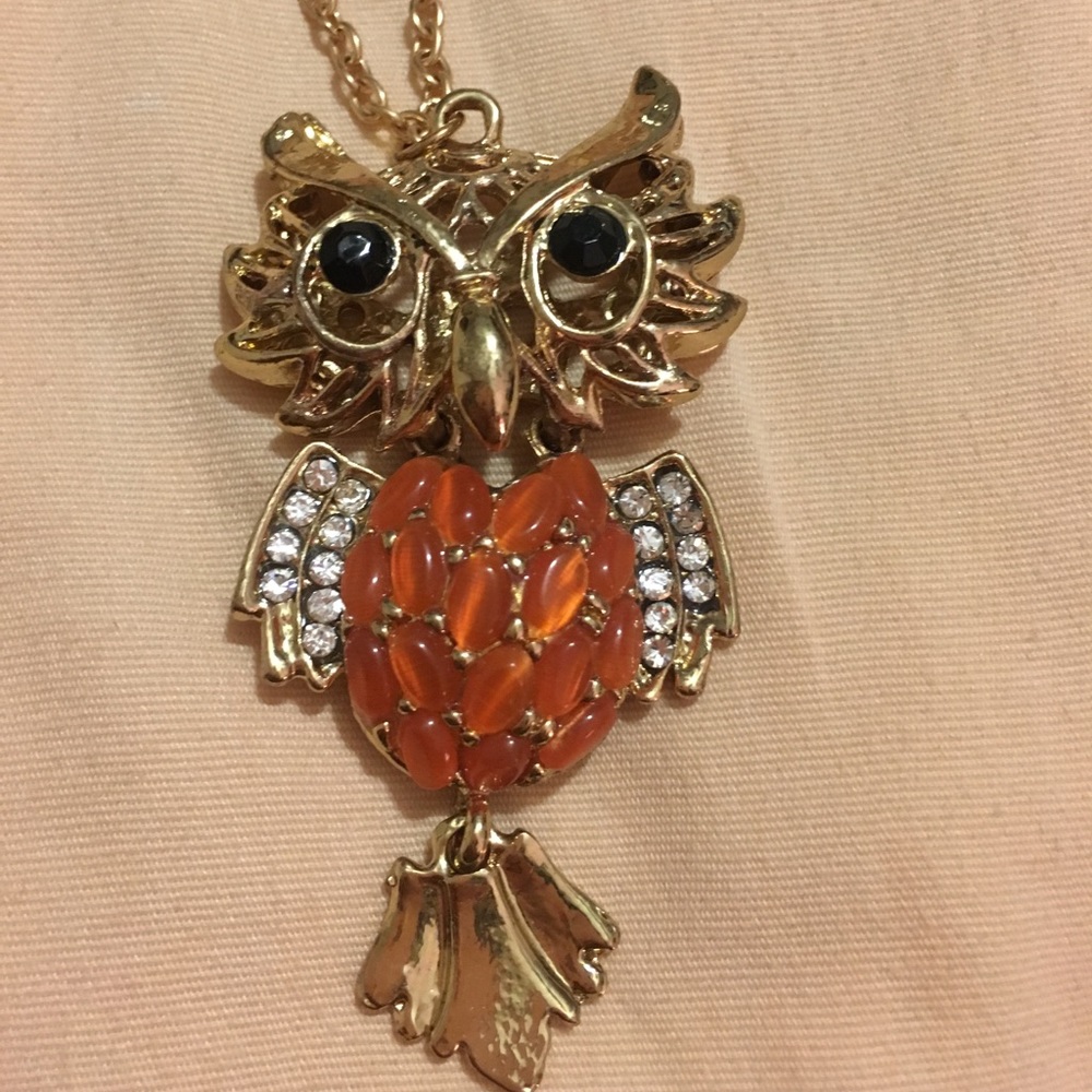 ❗️SOLD❗️70’s Owl Necklace!